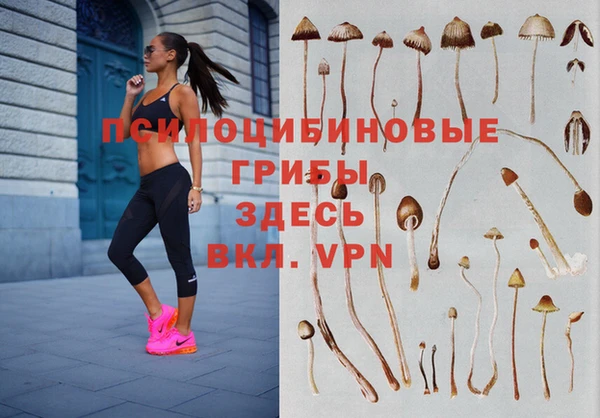 винт Пересвет